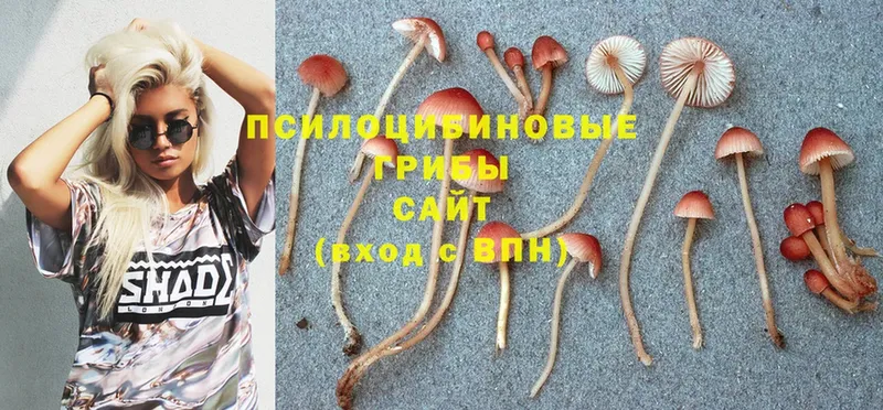 Псилоцибиновые грибы Magic Shrooms  Губаха 